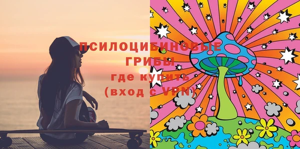 ешки Алзамай