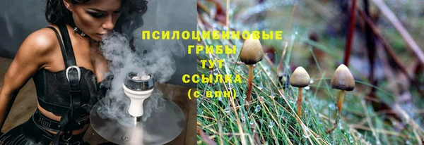меф Алексин