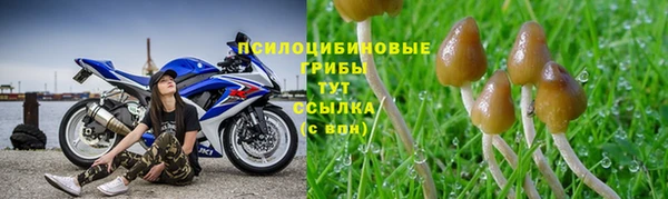ешки Алзамай