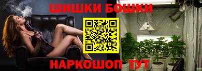 дурь Кингисепп
