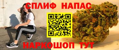 стаф Кимры