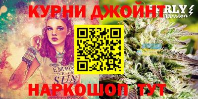 стаф Кимры